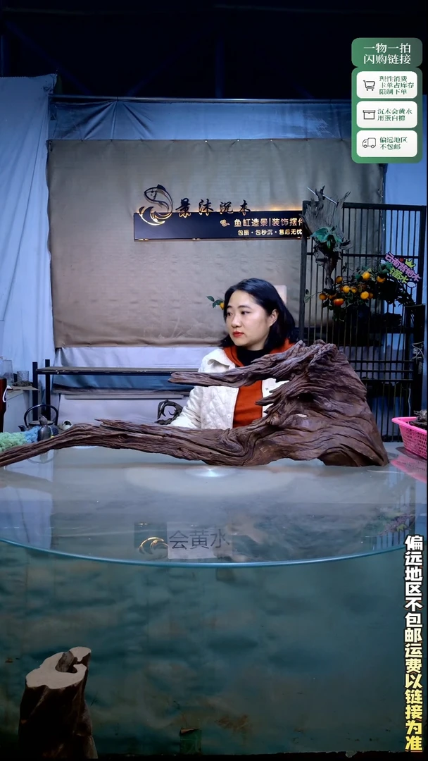 西***茶景沐沉木B667  90-*13-30