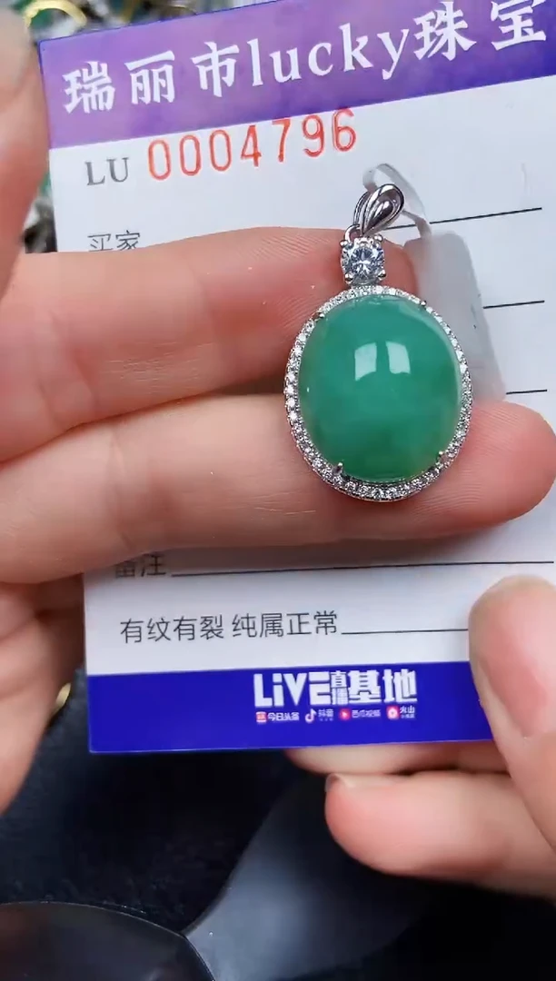 翡翠银S925镶嵌颈饰4796