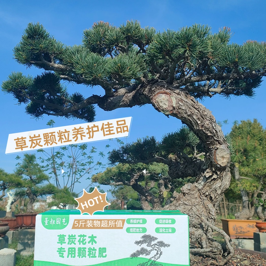 草炭缓释颗粒(松柏花木盆景花卉农作物绿植园林植物肥料花肥营养）