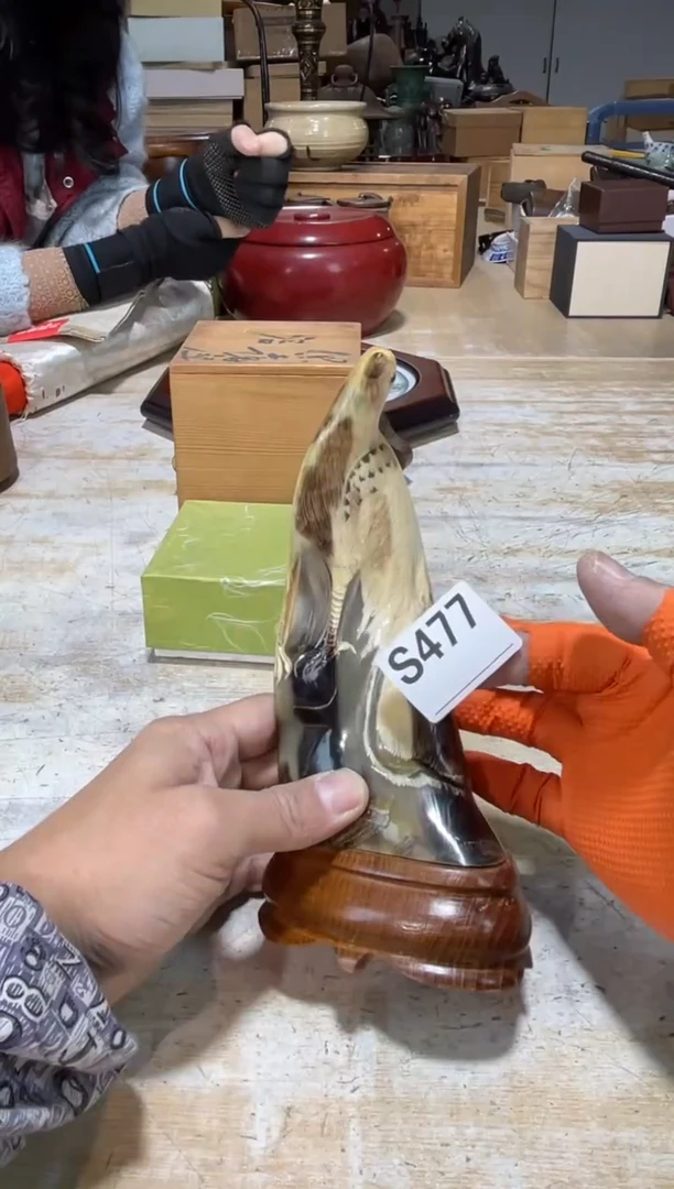 直播定闪专用B****红直播定闪专用链接