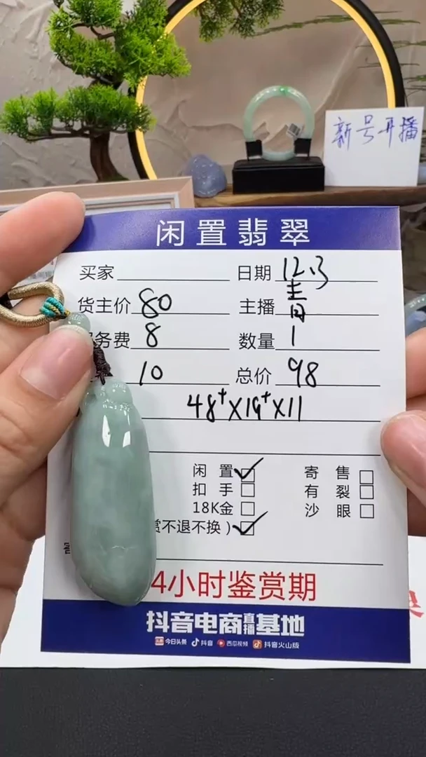 颈饰未镶嵌翡翠挂件
