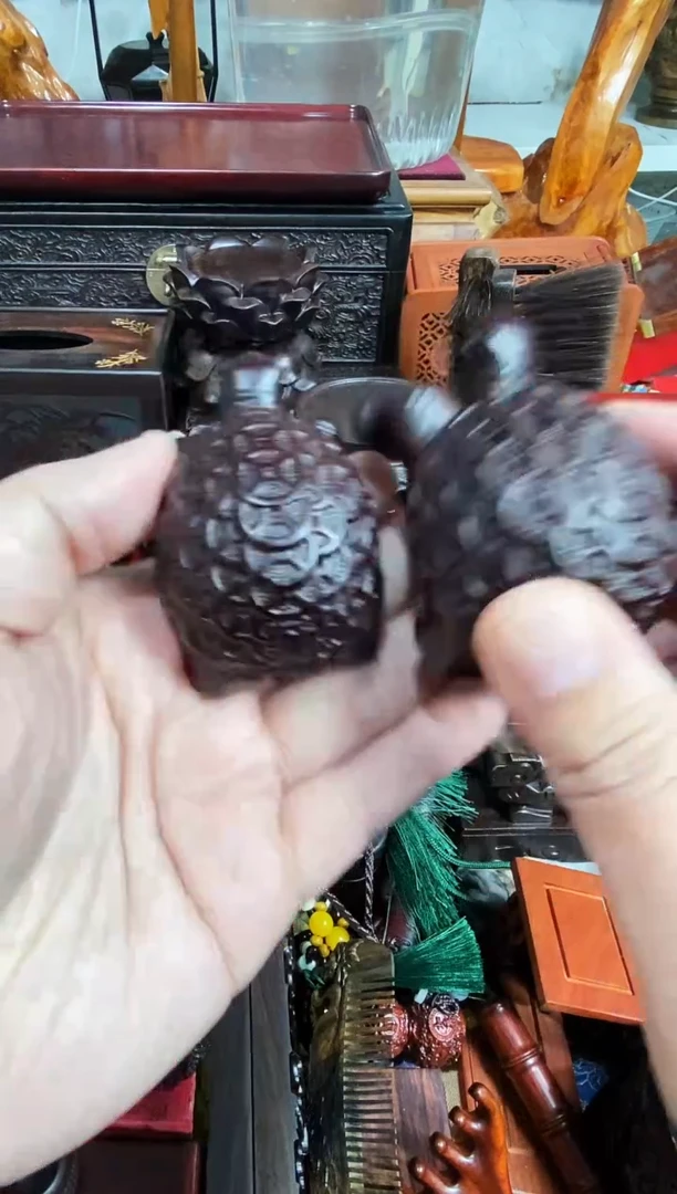 木乌龟一对直播推荐直播推荐