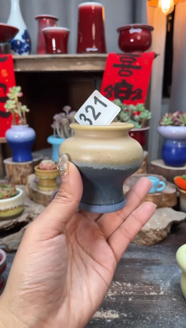 【闪购商品】摆件321知木小芳花盆