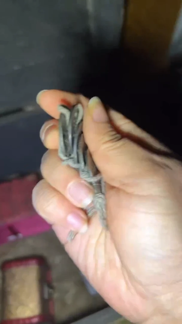 铜高端福利精品摆件链接