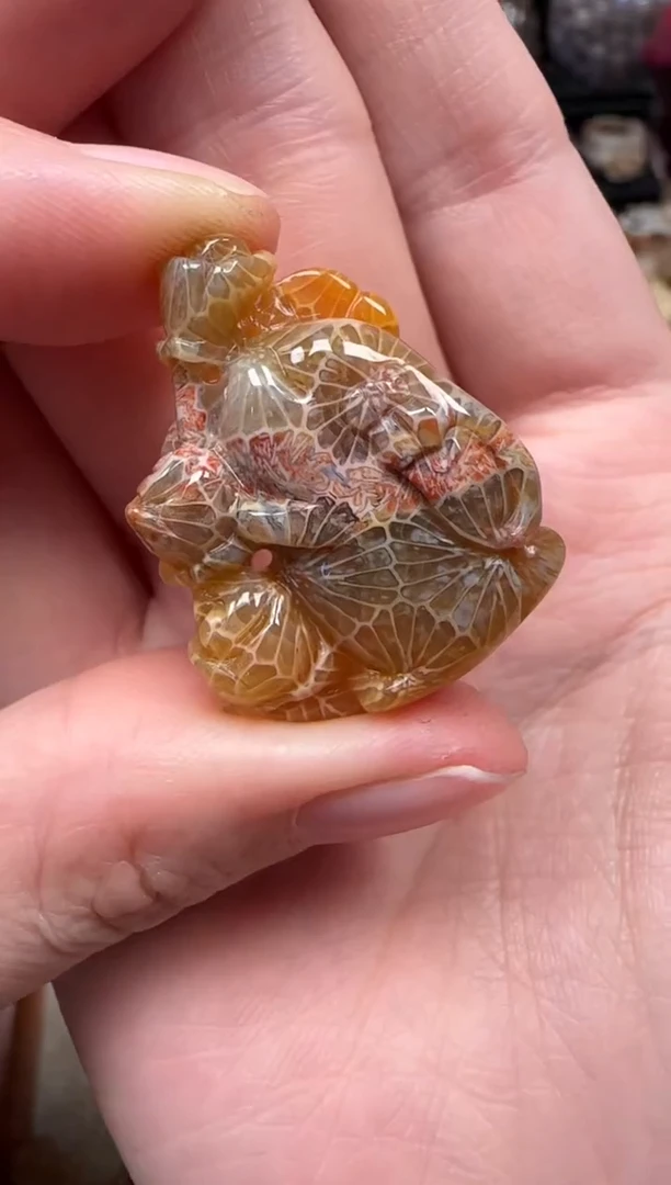 颈饰未镶嵌硅化珊瑚（珊瑚玉）670