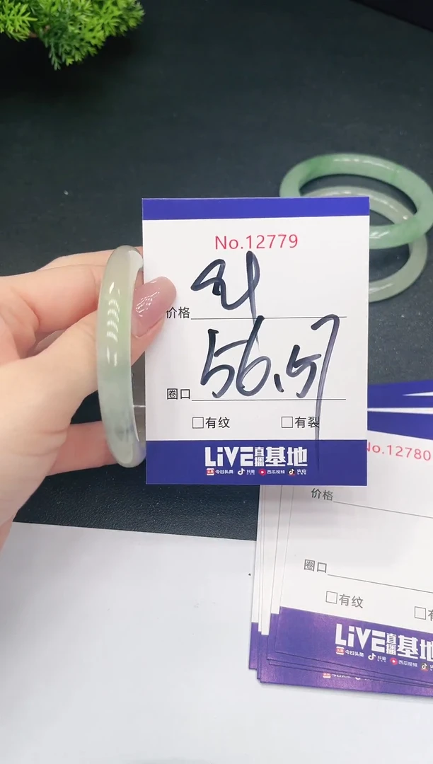 未镶嵌手镯翡翠12779