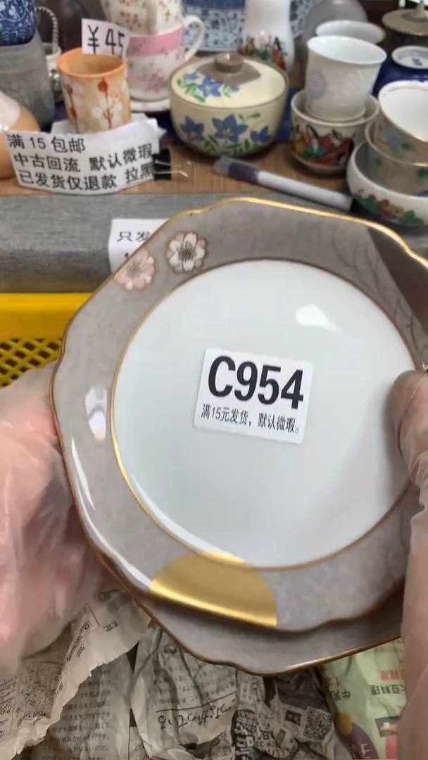 【闪购商品】瓷片954danydanydanydany