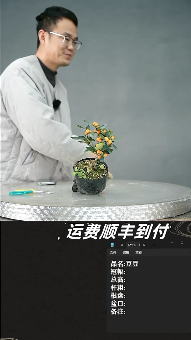 【闪购商品】13 豆豆