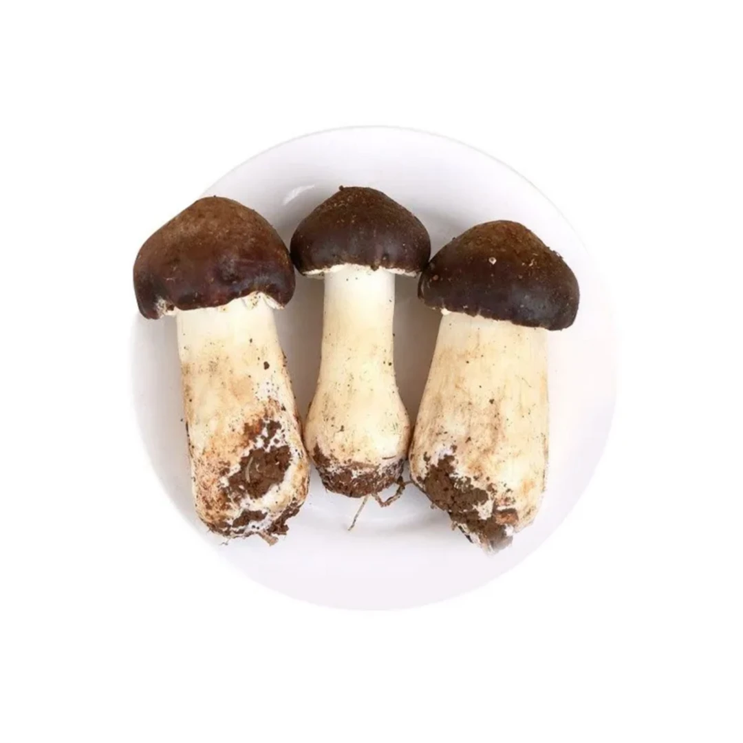 球盖菇约200g赤松茸