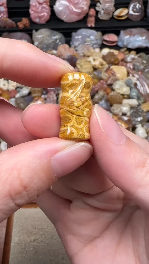 颈饰未镶嵌硅化珊瑚（珊瑚玉）424