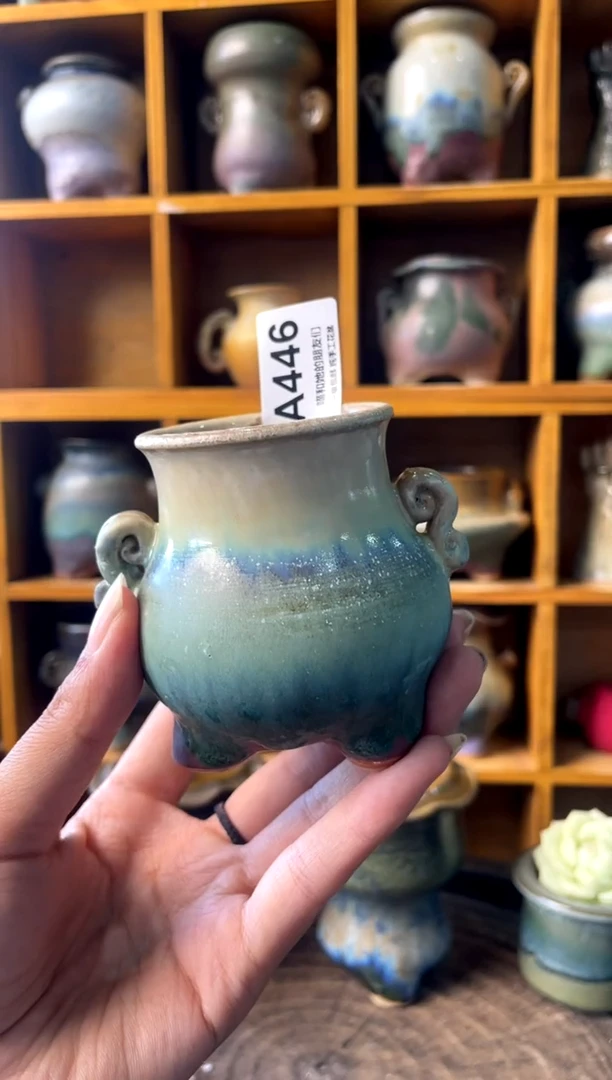 446【多肉花盆多肉盆】