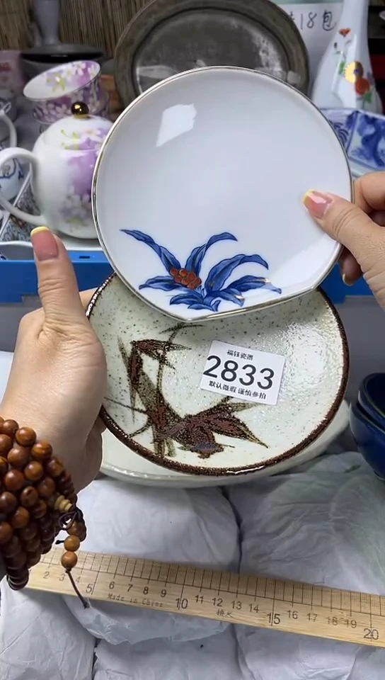 【闪购商品】碟            2833
