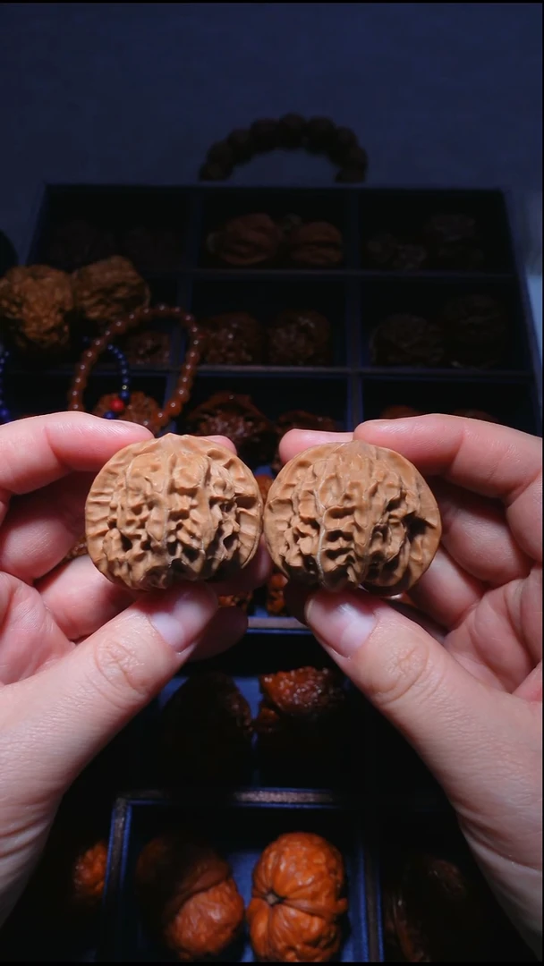 把件文玩核桃刀子中矮桩41（1号）