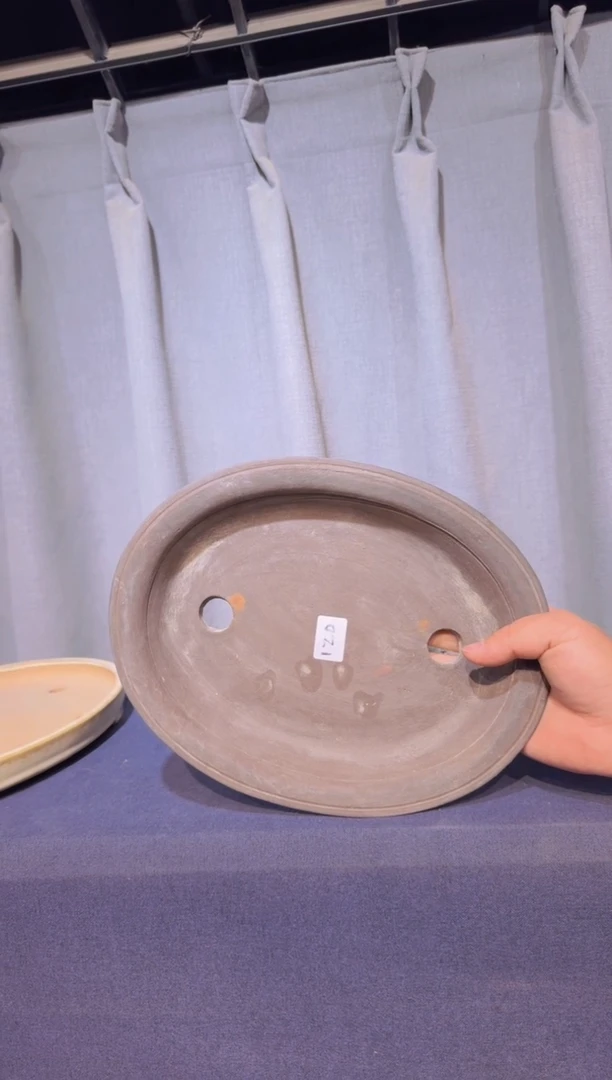 【闪购商品】-椭圆盆-V95