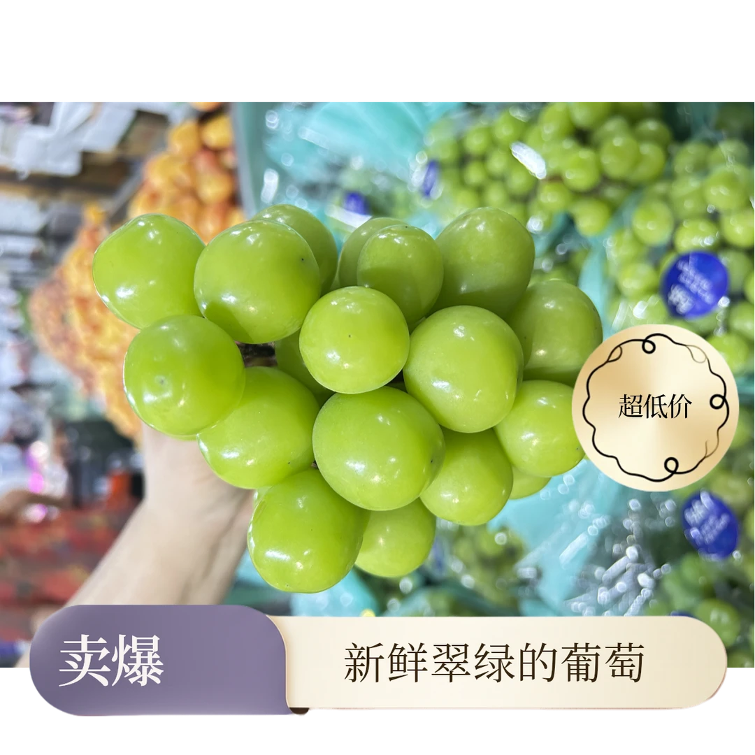 新鲜晴王葡萄500g陕西省