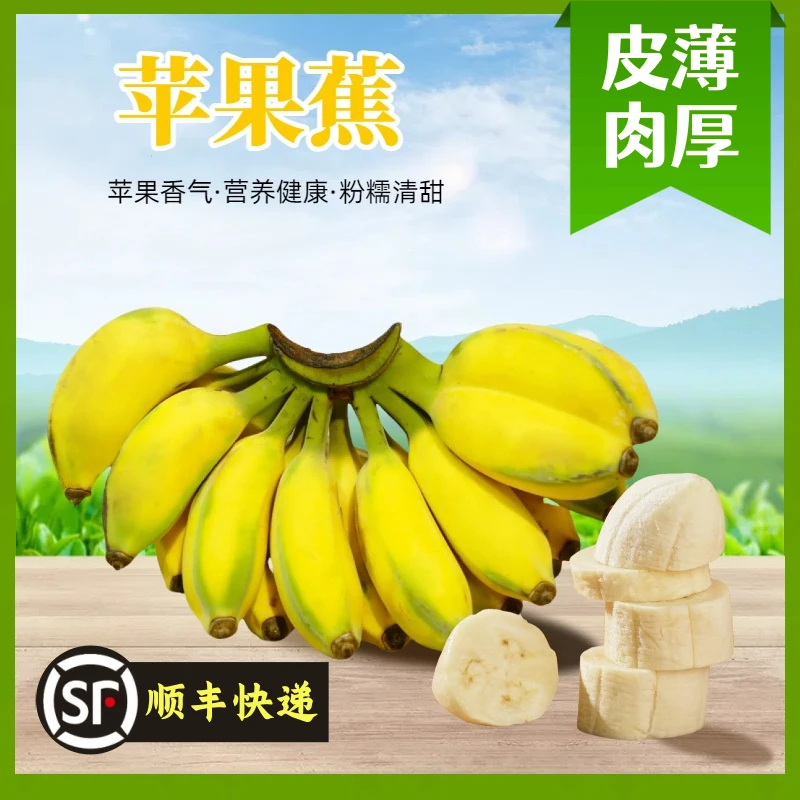 福建现摘苹果蕉青蕉需放熟3斤/4斤/7斤单果80-100g