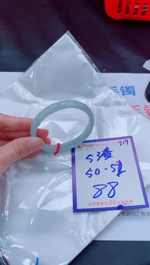 未镶嵌手镯翡翠11111111