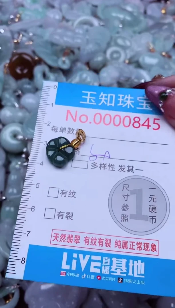 吊坠(不含链)未镶嵌翡翠845