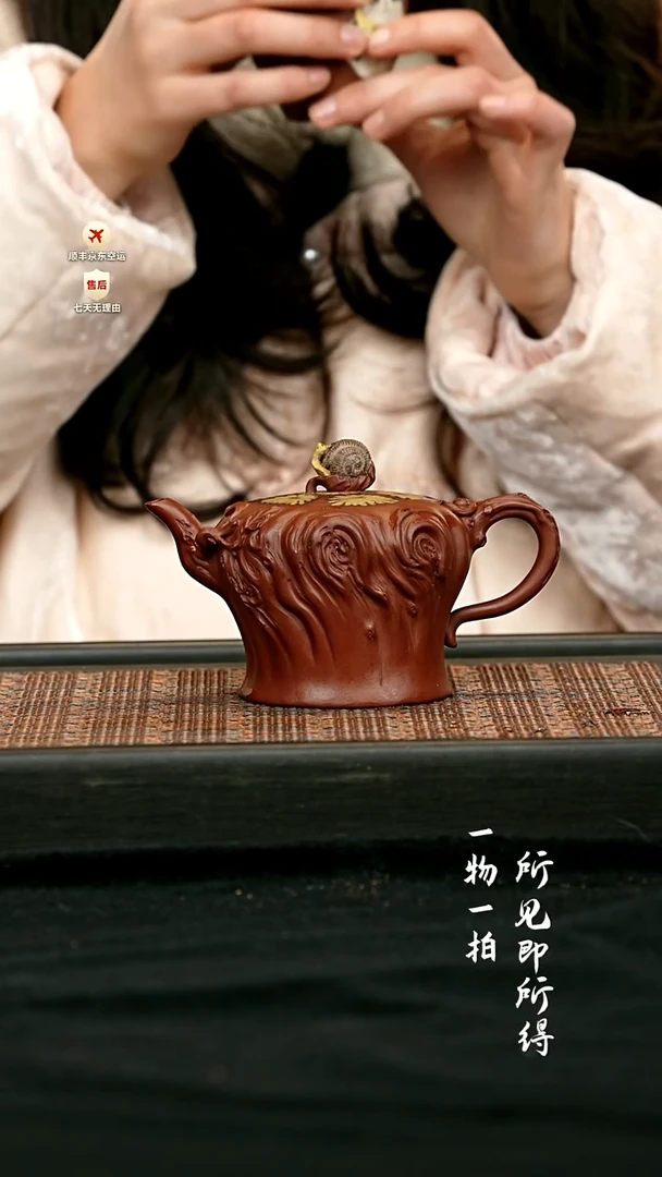 茶壶紫砂全手雏菊 一物见春