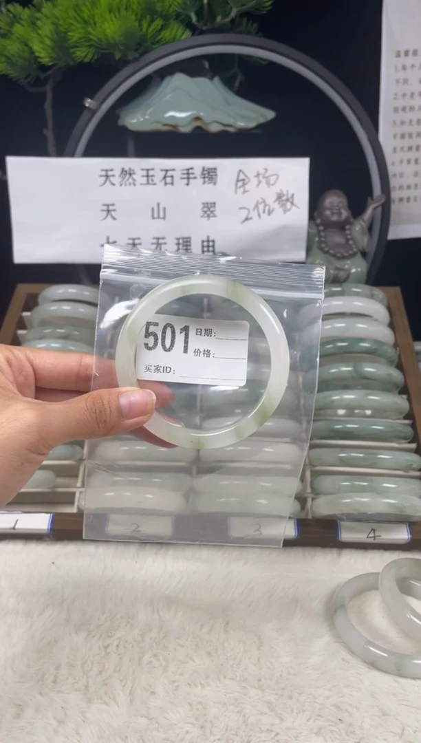 未镶嵌手镯石英质玉（天山翠）501