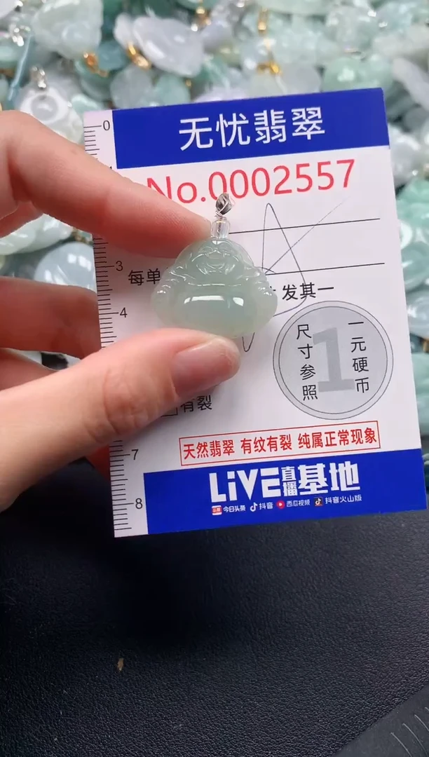 吊坠(不含链)未镶嵌翡翠2557