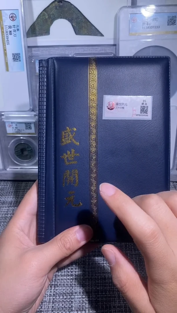 铜博泉 盛世开元册