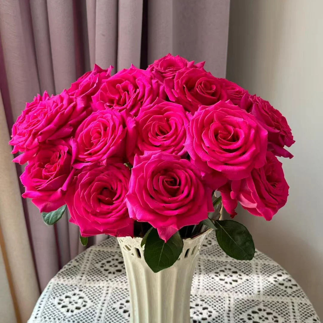 十 弌【弗洛伊德 单头玫瑰】任意两单鲜花顺丰 京东 德邦