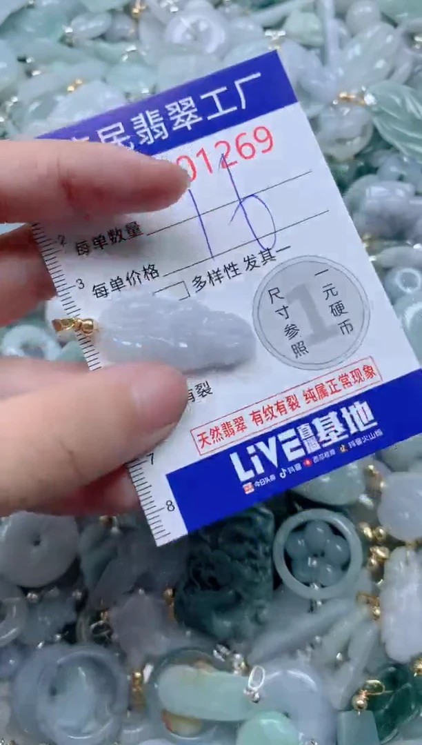 颈饰未镶嵌翡翠1269