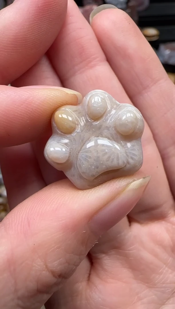 颈饰未镶嵌硅化珊瑚（珊瑚玉）301