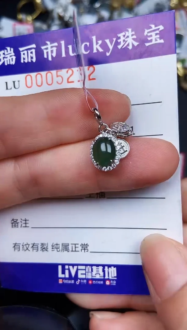 翡翠银S925镶嵌颈饰5212