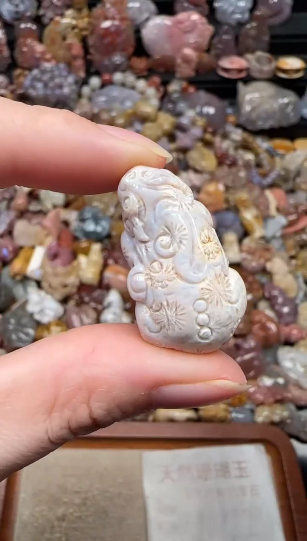 颈饰未镶嵌硅化珊瑚（珊瑚玉）040