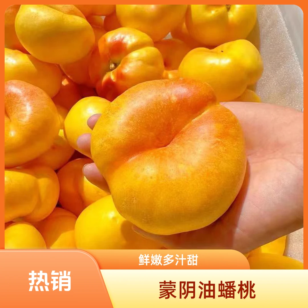 现摘现发正宗蒙阴彩虹油蟠桃新鲜应季油蟠桃皮薄甜嫩多汁整箱包邮