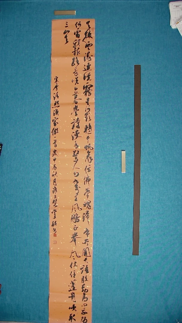 【闪购商品】书法207 江苏张文敏中书协177*24