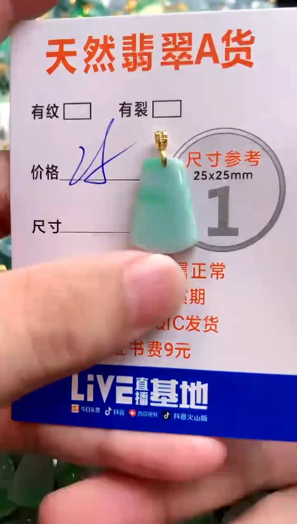 颈饰未镶嵌翡翠13003176