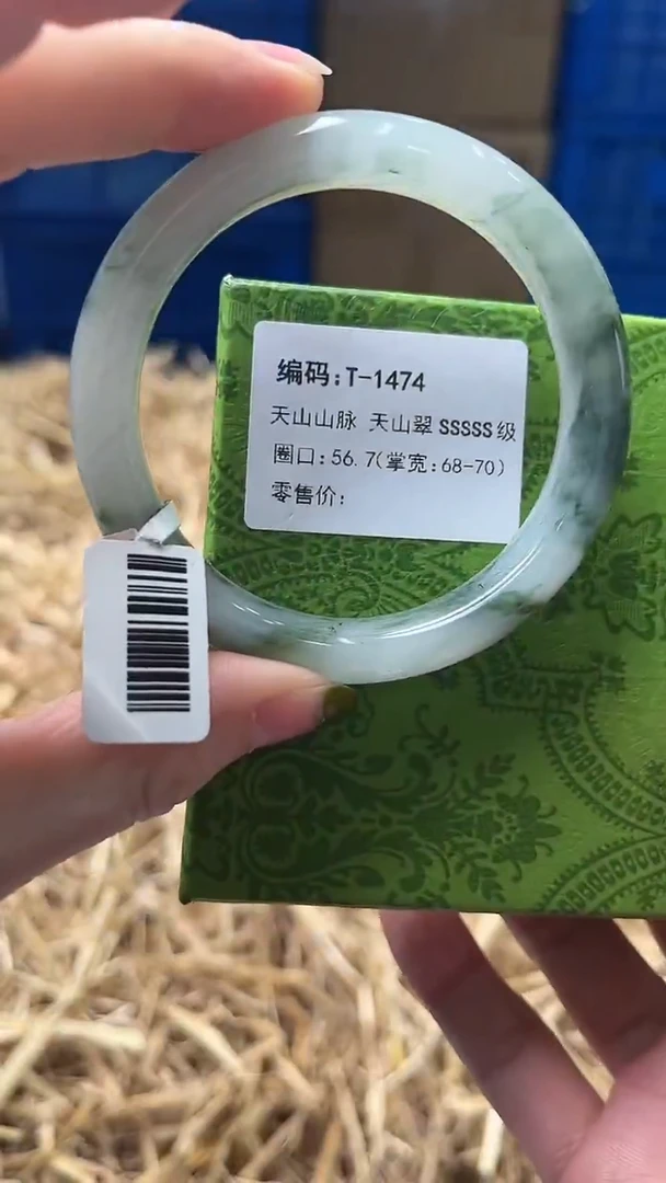 未镶嵌手镯石英质玉T1474
