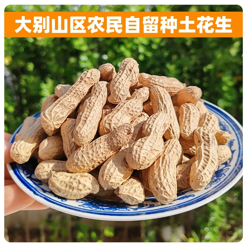 正宗大别山区安庆宿松农家零星露天散种老品种土花生