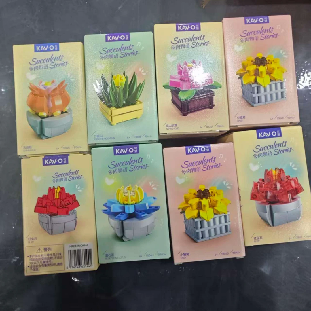 多肉积木花随机发，外盒轻微压盒，介意勿拍