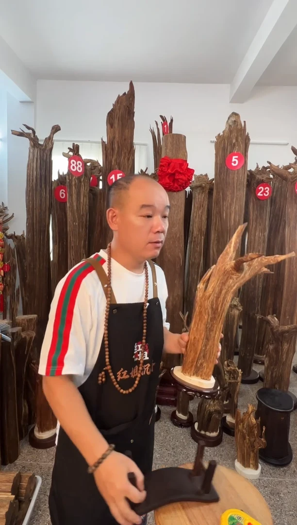 摆件沉香沉香原料6