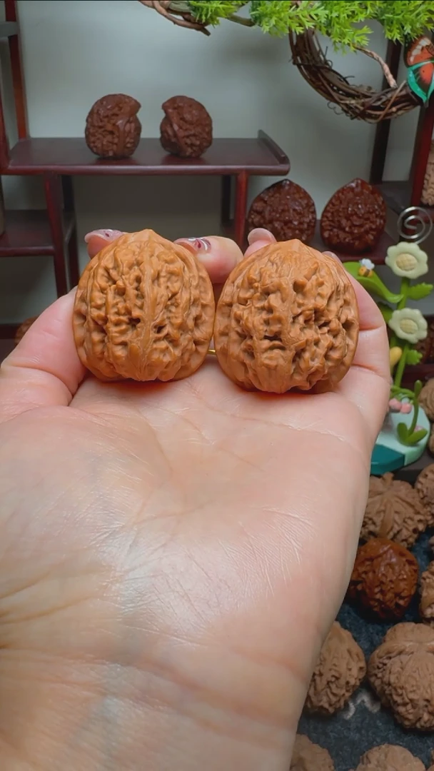 【闪购商品】文玩核桃把件野生原树炎龙肚38货头