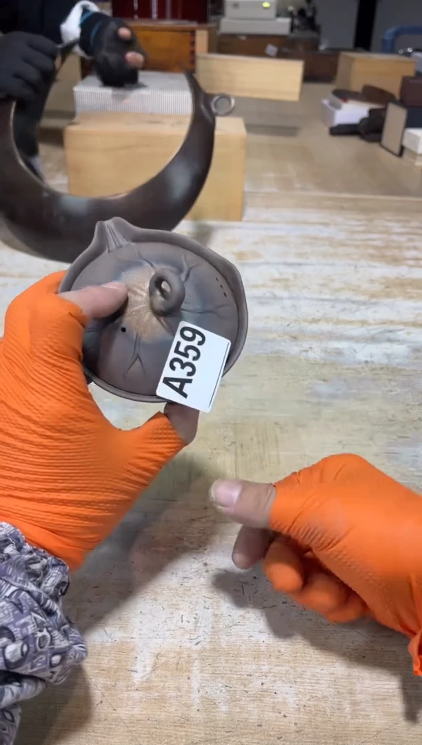 直播定闪专用✨***飞直播定闪专用链接