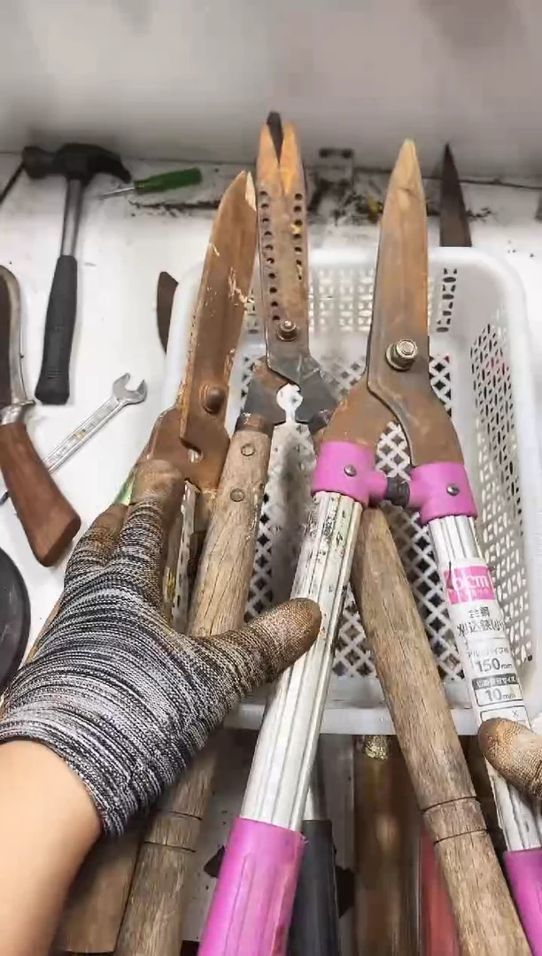 跃*麻嘎子工具闪购链接一物一拍