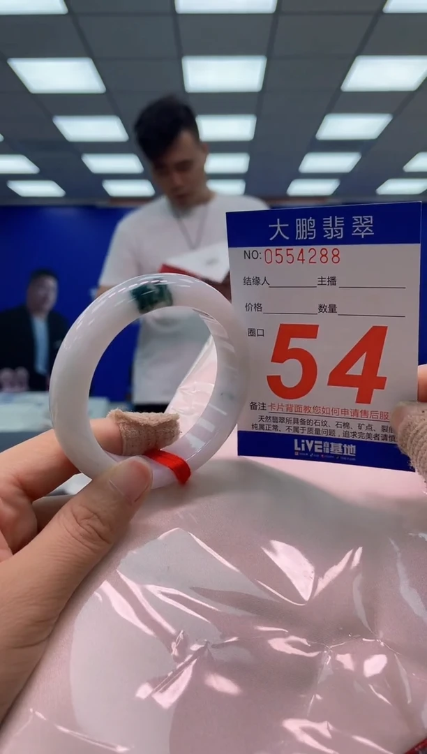 未镶嵌手镯翡翠AAAAAAAAA