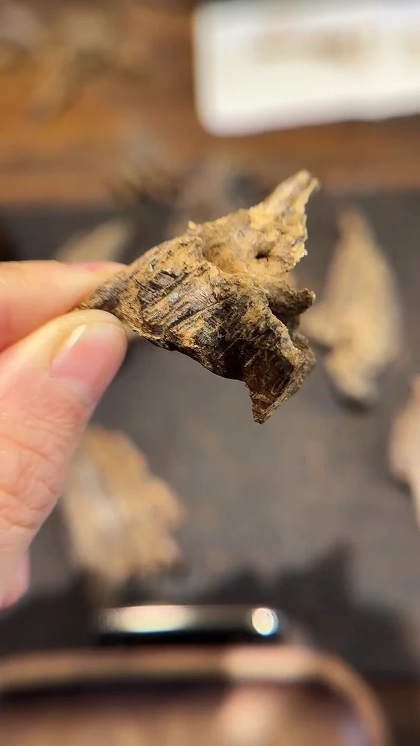 香料芽庄土沉老料3.2g