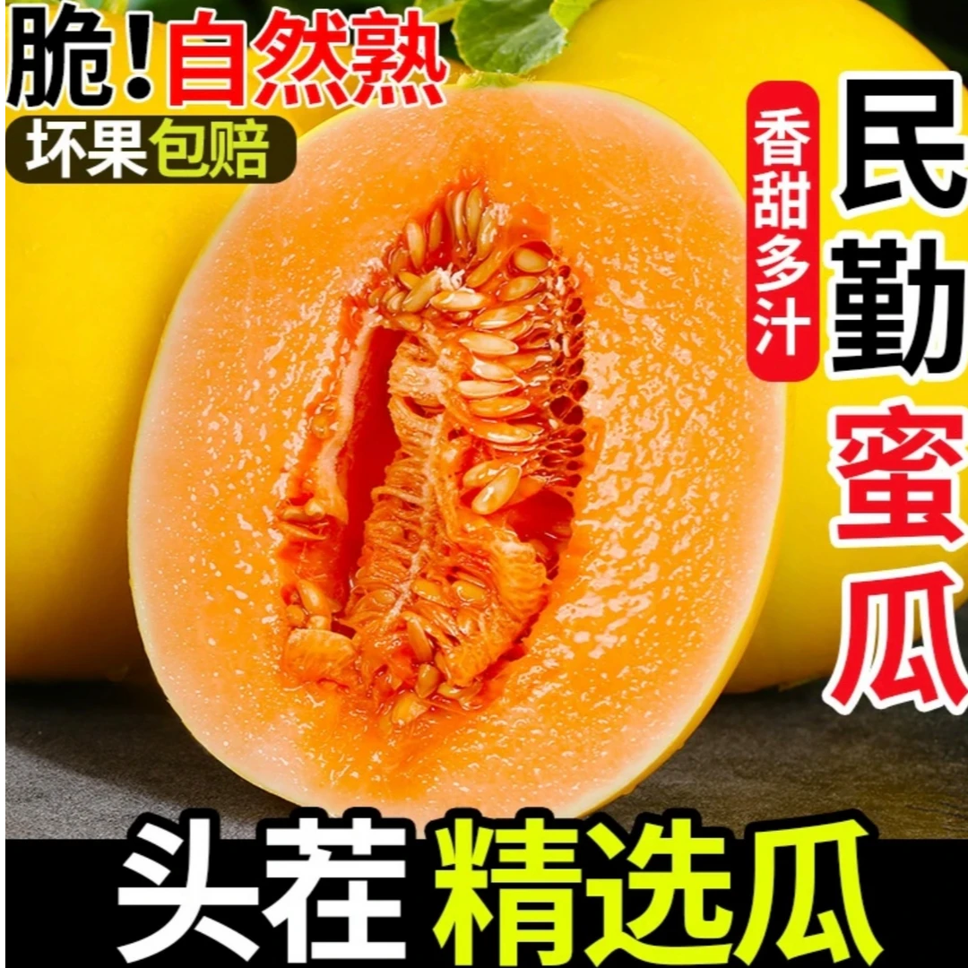 【电广好物-产地直发】正宗民勤哈密瓜蜜瓜金红宝当季民勤蜜瓜甜瓜