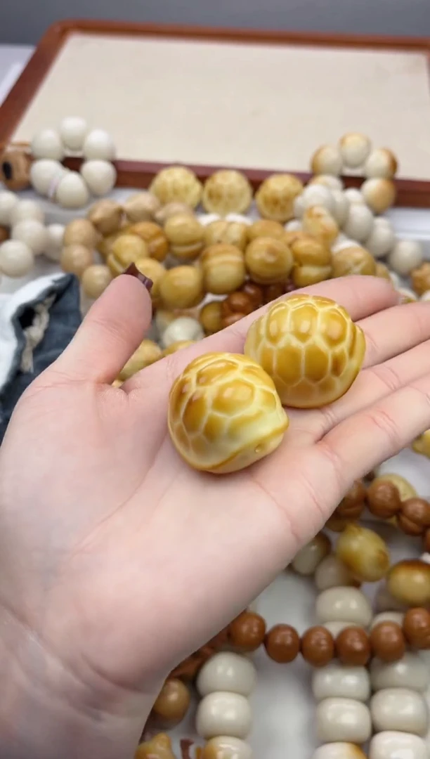 手串菩提根/象牙果象牙果富甲天下30mm+单颗