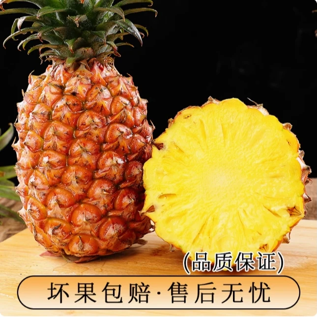 【三宝助农】正宗海南金钻凤梨新鲜水果当季香水菠萝热带爆甜凤梨