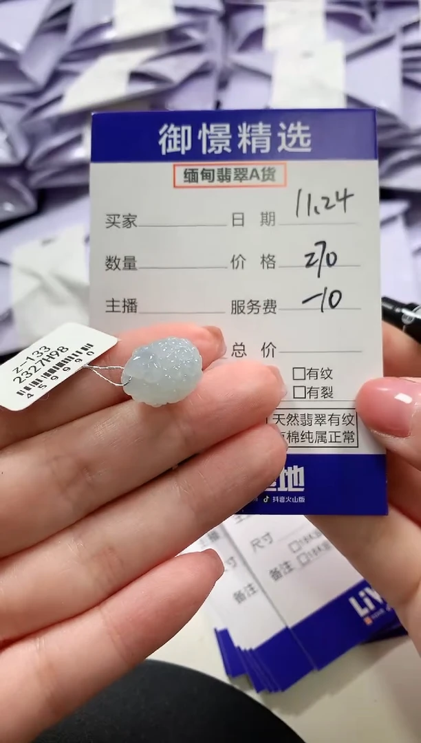 颈饰未镶嵌翡翠羽***宝13