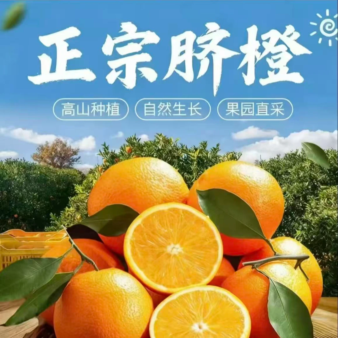 正宗脐橙新新鲜现摘不催熟多仓发货