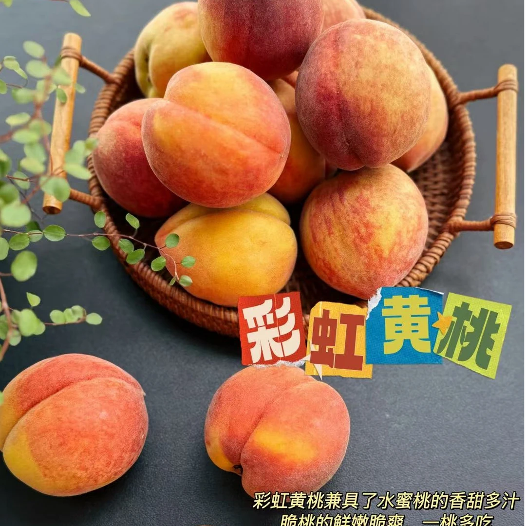 【顺丰】新沂彩虹蜜露黄金桃 脆甜多汁 一份3斤/6斤左右（仅发南京）