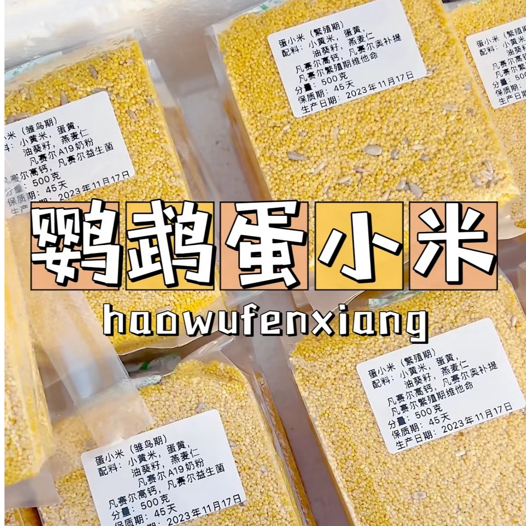 【断奶必备】高营养蛋小米多维营养鹦鹉鸟食繁殖断奶必备